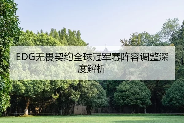EDG无畏契约全球冠军赛阵容调整深度解析