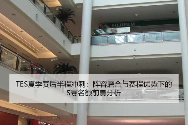 TES夏季赛后半程冲刺：阵容磨合与赛程优势下的S赛名额前景分析