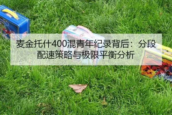 mai-jin-tuo-shen-hun-qing-nian-ji-lu-bei-hou-fen-duan-pei-su-ce-lve-yu-ji-xian-ping-heng-fen-xi-3-466.jpg